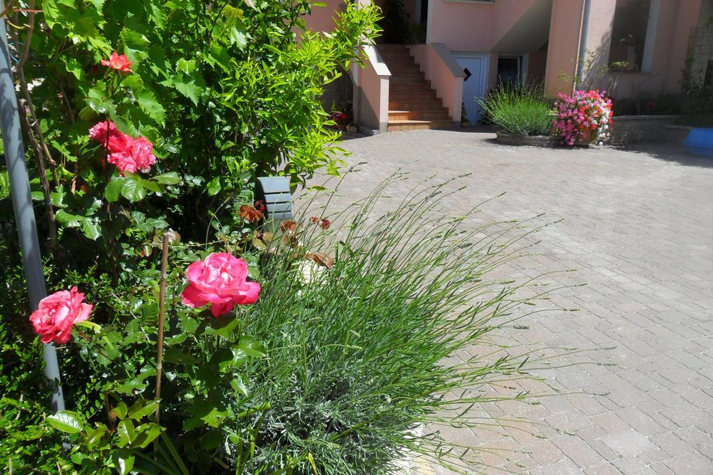 Apartment Tim Zadar Exterior foto
